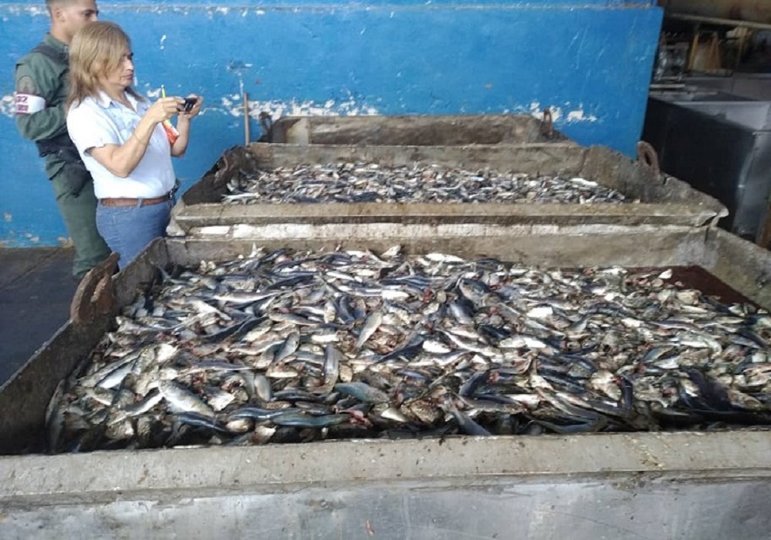 Hace tiempo se denunció un acaparamiento ilegal de sardinas