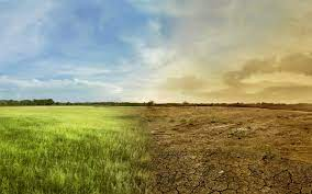 Comparación entre suelo normal y suelo afectado por sequías repentina