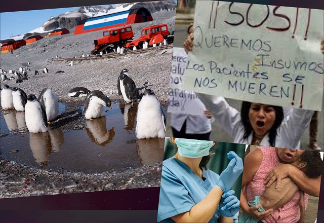 Destacamos en las efemérides de hoy el Día de Concienciación por los Pingüinos, que afrontan peligros para su sobrevivencia en el planeta, y el Día del Pediatra (en Venezuela), que con el sistema de salud que hoy tenemos tienen que hacer "milagros" como José Gregorio Hernández