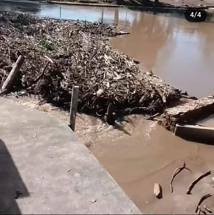 Río Manzanares colapsó por restos vegetales