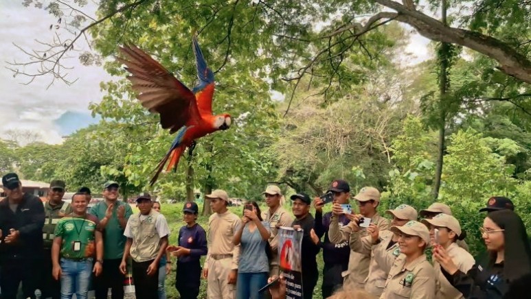 Esta importante actividad científica tuvo lugar en el bosque de reserva de fauna silvestre Cumaraca‚ Portuguesa