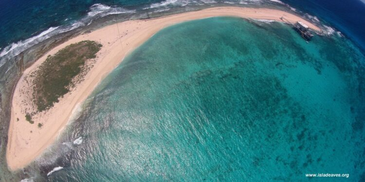 Isla de Aves, en el mar Caribe