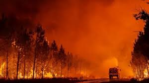 Gigante incendio forestal en Francia
