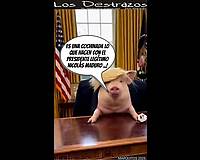 CARICATURA: Los Destrazos